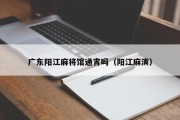 广东阳江麻将馆通宵吗（阳江麻演）