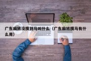广东麻将没摸到马叫什么（广东麻将摸马有什么用）