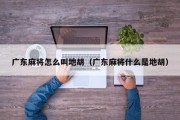 广东麻将怎么叫地胡（广东麻将什么是地胡）