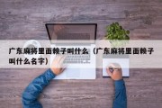 广东麻将里面赖子叫什么（广东麻将里面赖子叫什么名字）