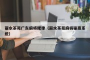 丽水茶苑广东麻将规律（丽水茶苑麻将输赢系统）