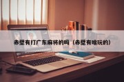 赤壁有打广东麻将的吗（赤壁有啥玩的）