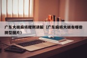 广东大胡麻将规则讲解（广东麻将大胡有哪些牌型图片）