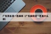 广东茂名清一色麻将（广东麻将清一色是什么牌）