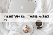 广东麻将飞万十三幺（广东麻将13幺没有万字）