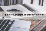 广东麻将什么牌型是胡（广东麻将的胡牌有哪些）