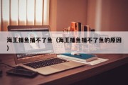 海王捕鱼捕不了鱼（海王捕鱼捕不了鱼的原因）