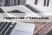 广东麻将有大小胡吗（广东麻将什么叫大胡）