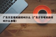 广东方言爆笑麻将叫什么（广东方言爆笑麻将叫什么来着）