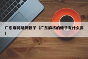 广东麻将胡牌赖子（广东麻将的赖子有什么用）