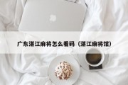 广东湛江麻将怎么看码（湛江麻将馆）