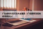 广东麻将无花打法大全图片（广东麻将没花的应该调多少）