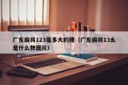 广东麻将123是多大的牌（广东麻将13幺是什么牌图片）