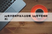 pg电子游戏平台入口在哪（pg电子游戏软件）